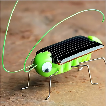 Solkryparen