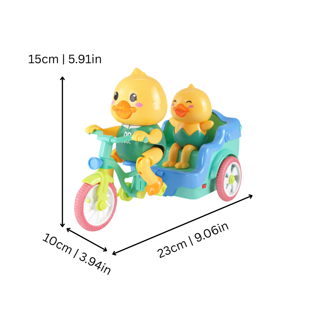 Ankcykeln