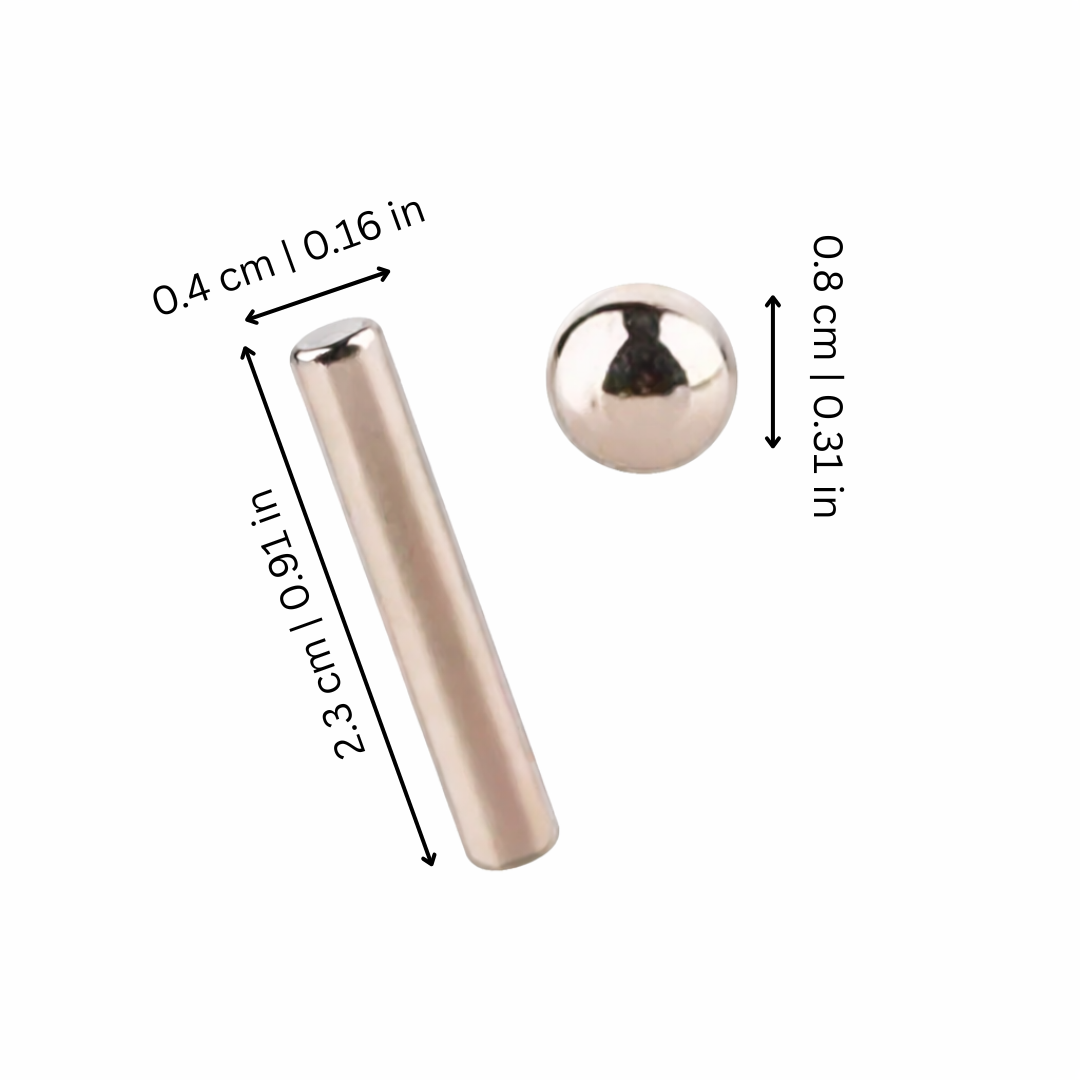 Silvermagneterna